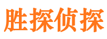 桐城侦探公司